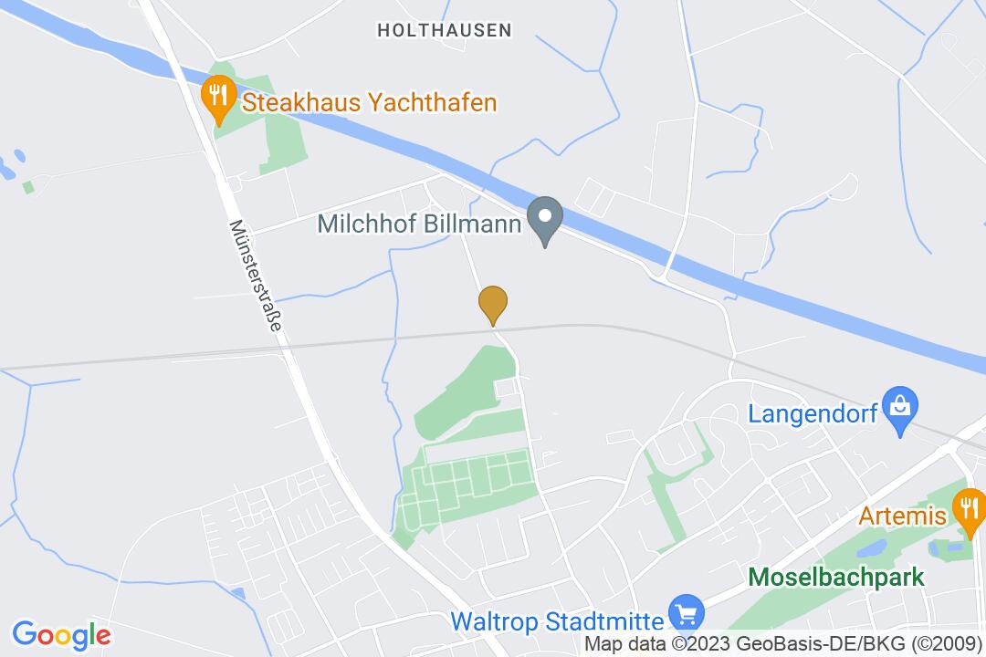 Voransicht